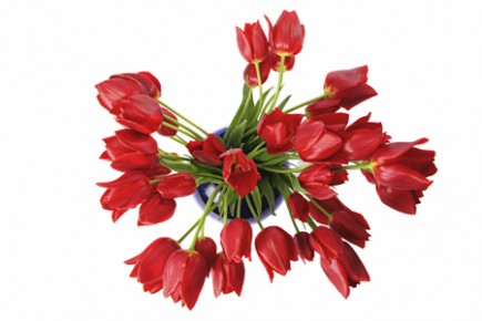 Ofrenda de flores virtual